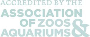 Accredited by the Association of Zoos and Aquariums