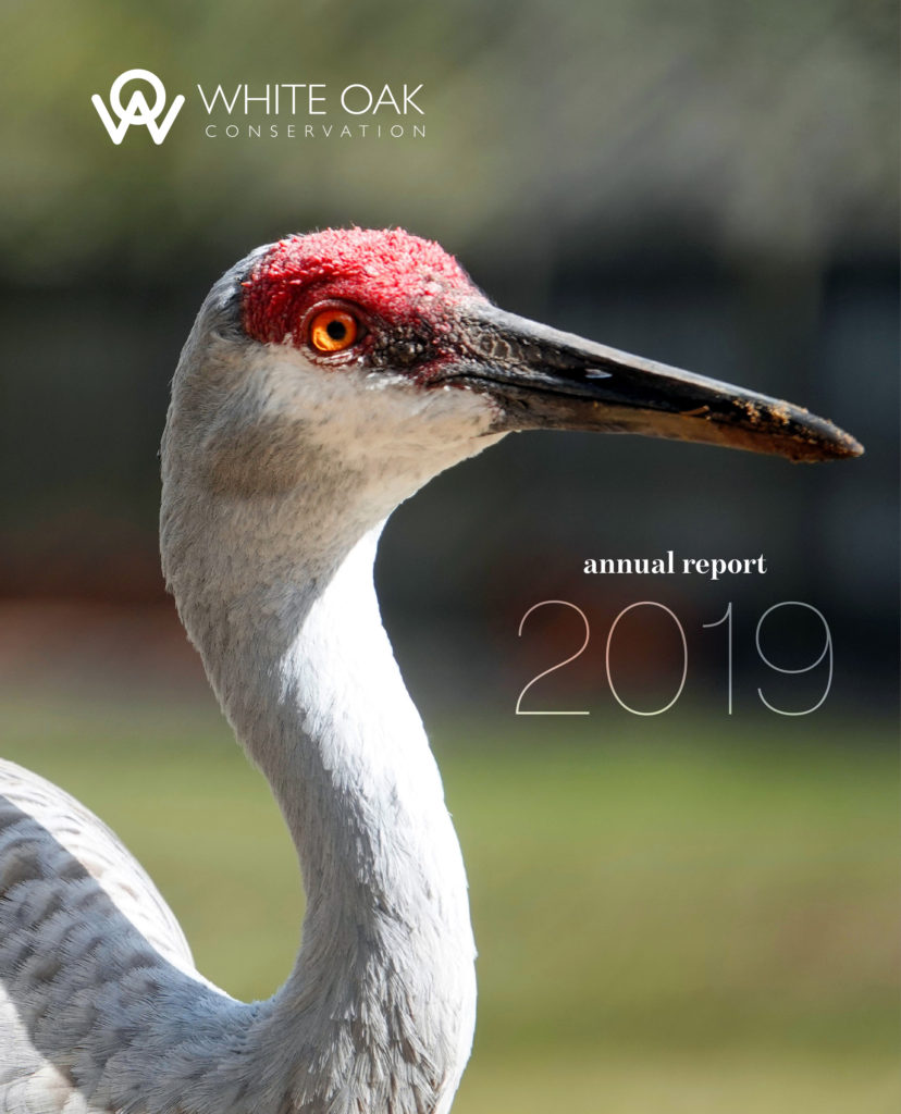 2019 Annual Report