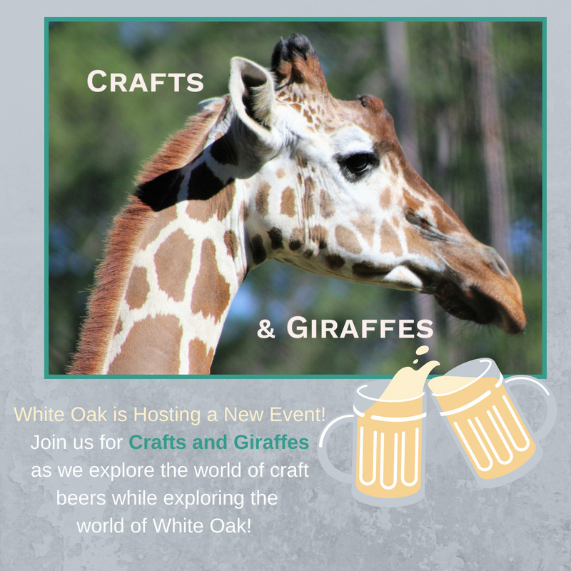 Giraffes and Crafts
