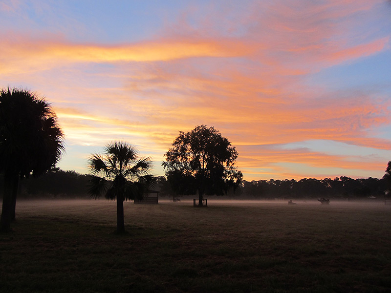 Sunrise at White Oak
